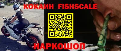 гидропоника Кингисепп
