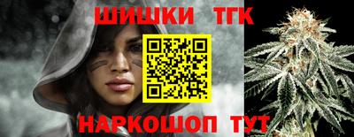 гидропоника Кингисепп