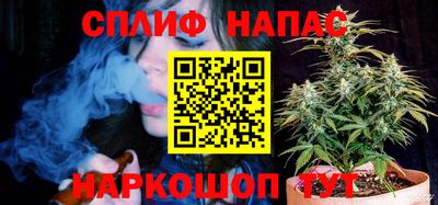 гидропоника Кингисепп