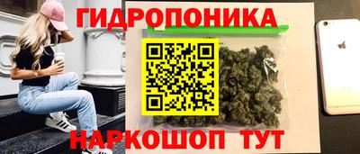 гидропоника Кингисепп