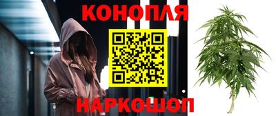 стафф Кинель