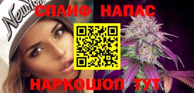 стафф Кинель