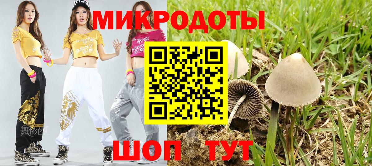 Псилоцибиновые грибы Magic Shrooms Коломна